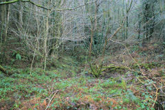 Wentloog Colliery, Cwmfelinfach, December 2009